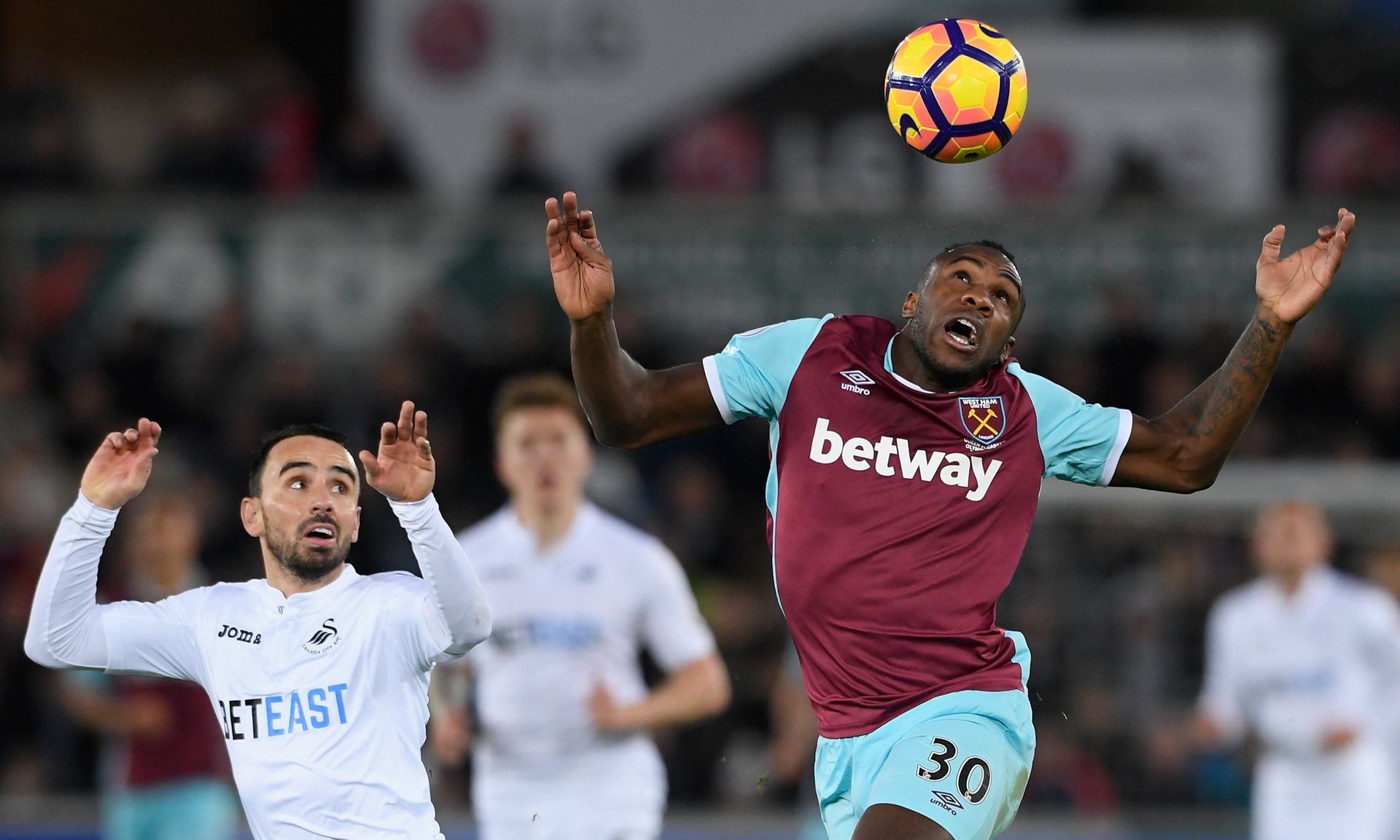 初期也因适 初期也因适